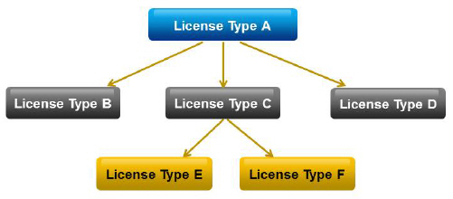 Example of a Well-Rormed License-Type Hierarchy.